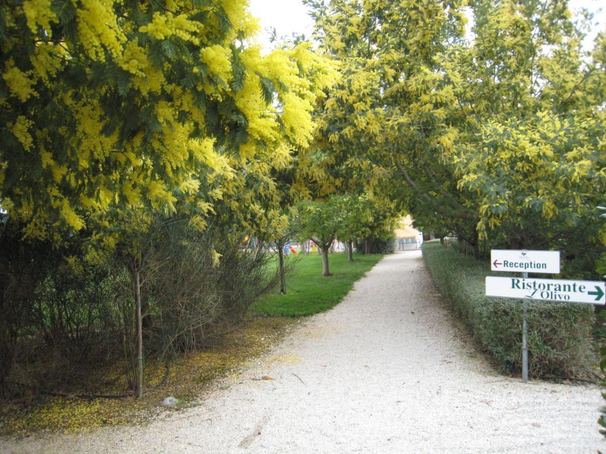 Campastrello Sport Hotel Residence Castagneto Carducci Rom bilde
